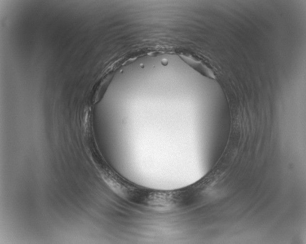 X0000052920084200508050814