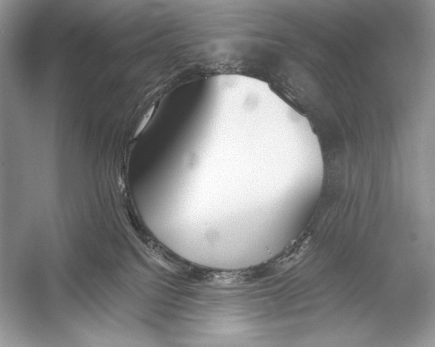 X0000052920088200508050814