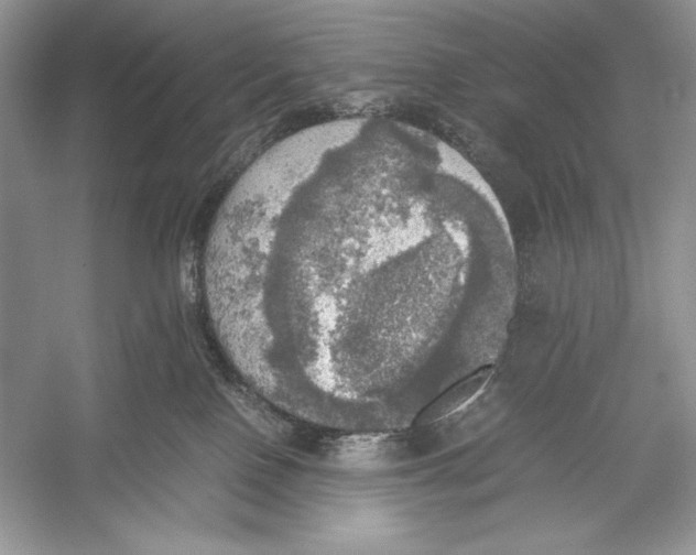X0000052920090200508050814