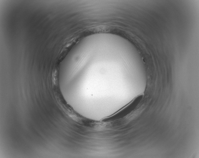 X0000052920096200508050815