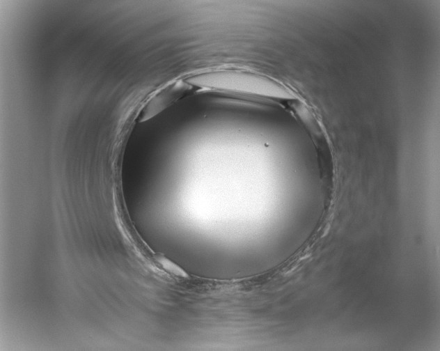 X0000052920097200508050814