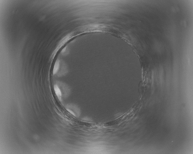 X0000052920099200508050814