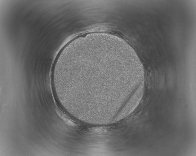 X0000052920100200508050814