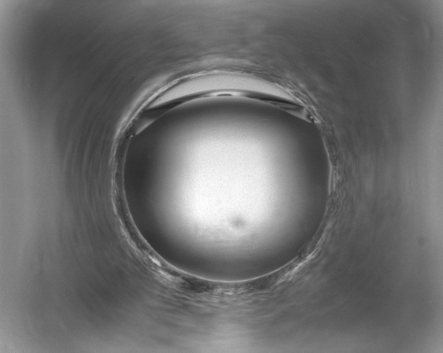 X0000052920101200508050814