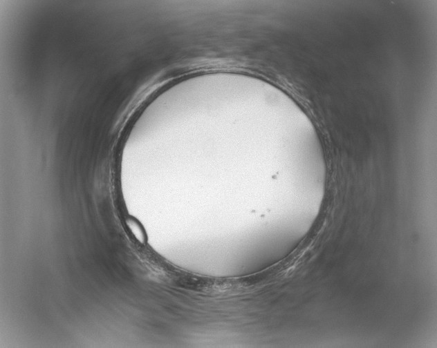 X0000052920103200508050814