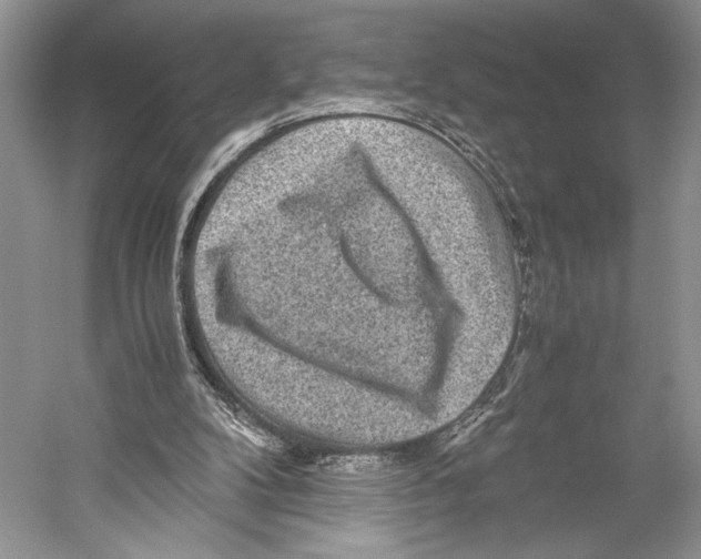 X0000052920104200508050814