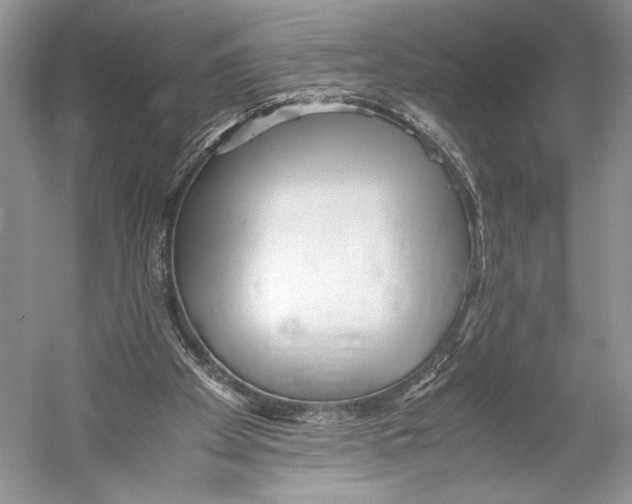 X0000052920105200508050814