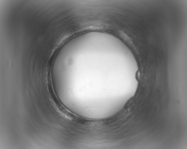 X0000052920106200508050814