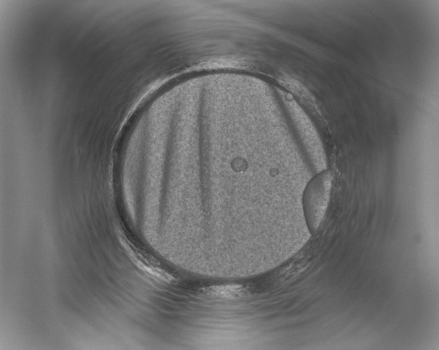 X0000052920108200508050814