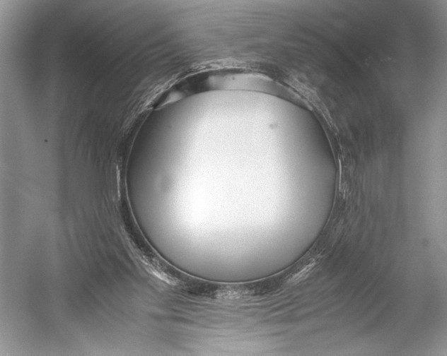 X0000052920109200508050814