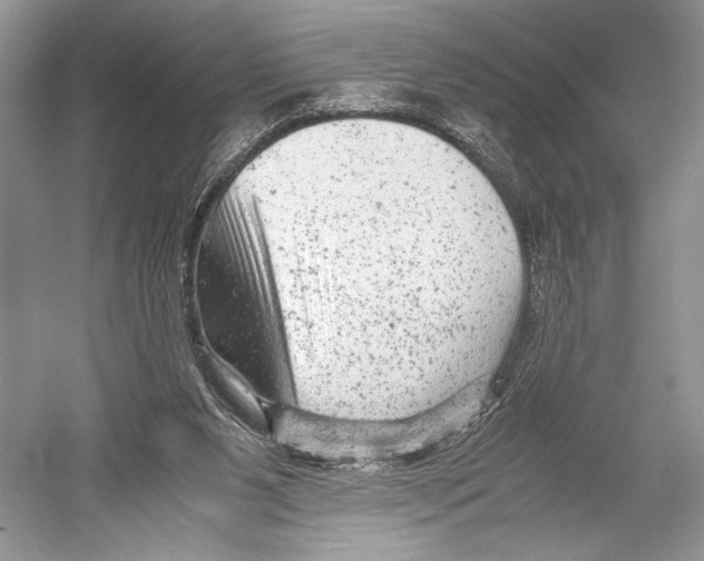 X0000052920111200508050813