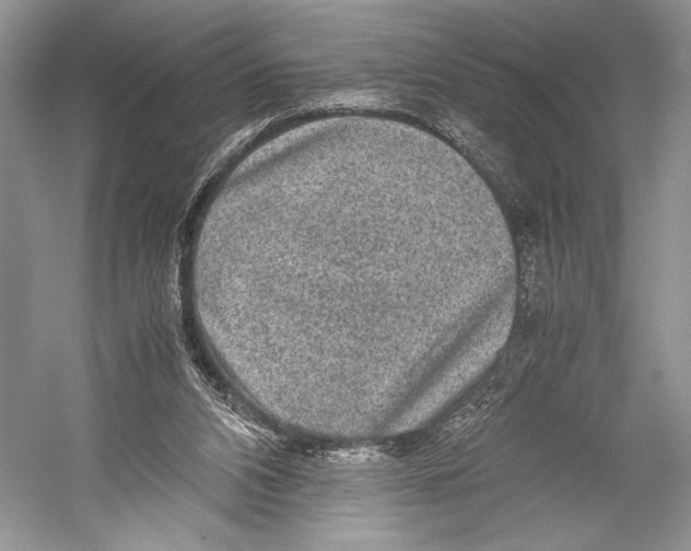 X0000052920112200508050813