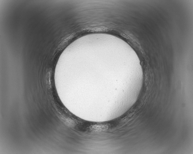 X0000052920115200508050813