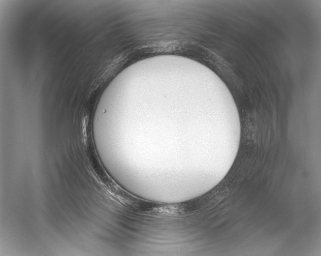 X0000052920118200508050813