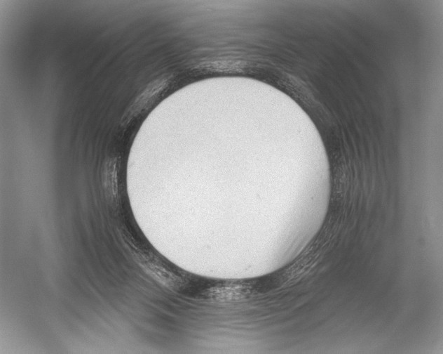 X0000052920120200508050813