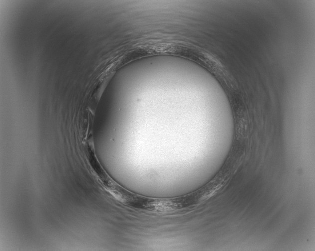 X0000052920121200508050813