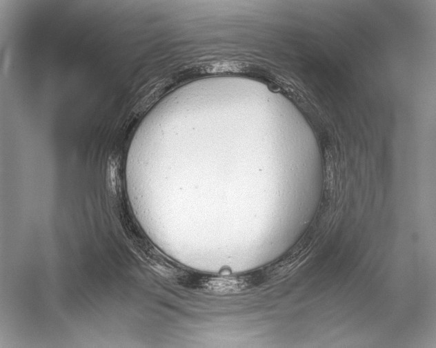 X0000052920123200508050813
