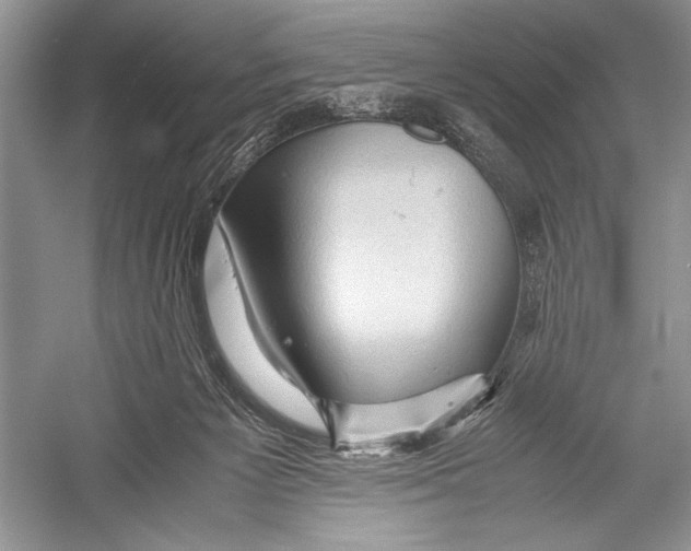 X0000052920125200508050813