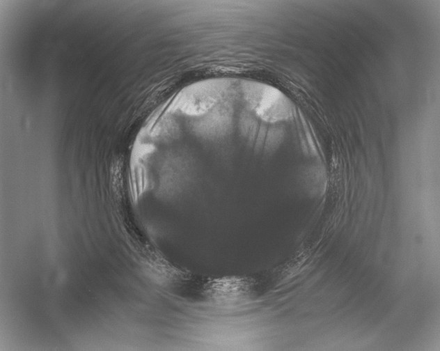 X0000052920127200508050813