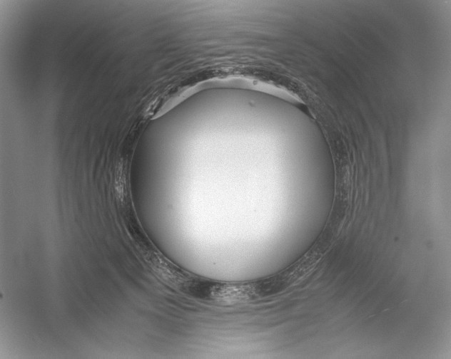 X0000052920129200508050813