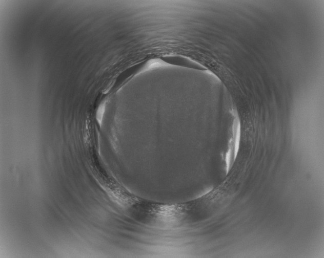 X0000052920130200508050813