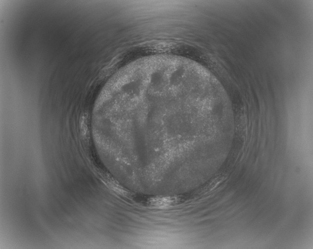 X0000052920131200508050813