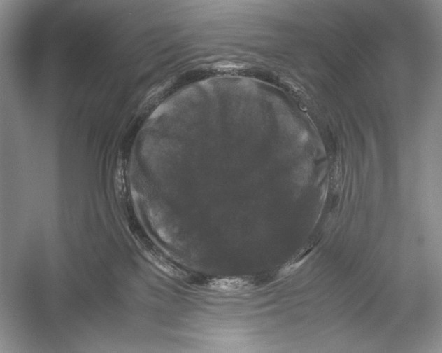 X0000052920137200508050813