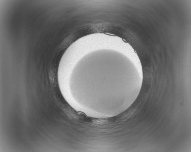 X0000052920139200508050813