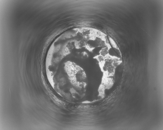 X0000052920145200508050812