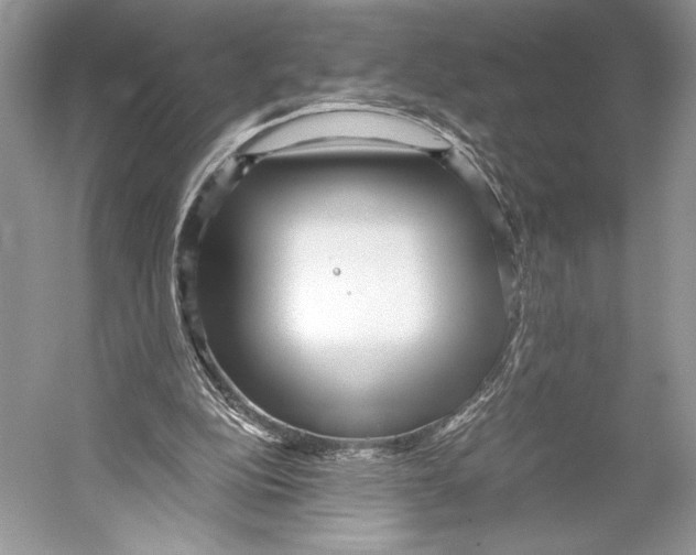 X0000052920152200508050812