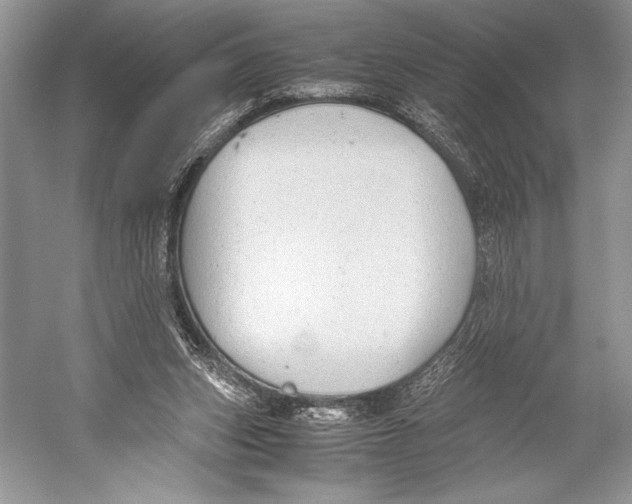 X0000052920159200508050812