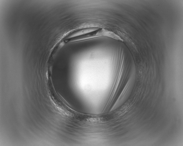 X0000052920160200508050812
