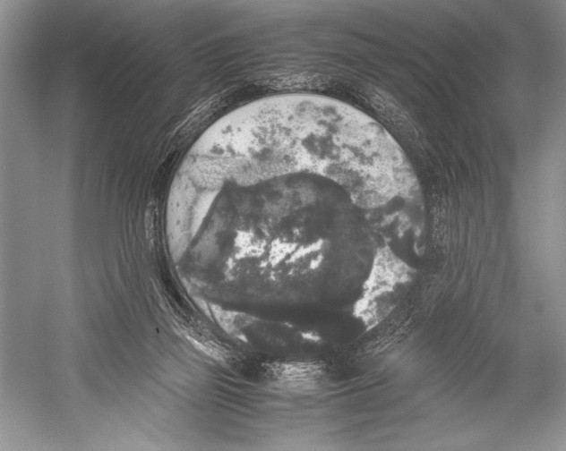 X0000052920165200508050812