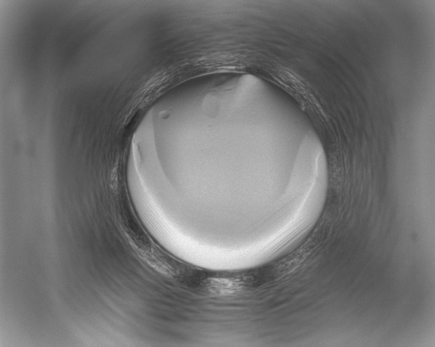 X0000052920167200508050812