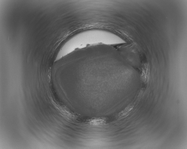X0000052920168200508050813