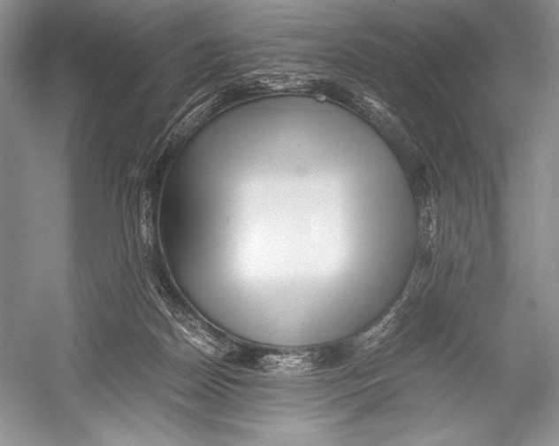 X0000052920170200508050813