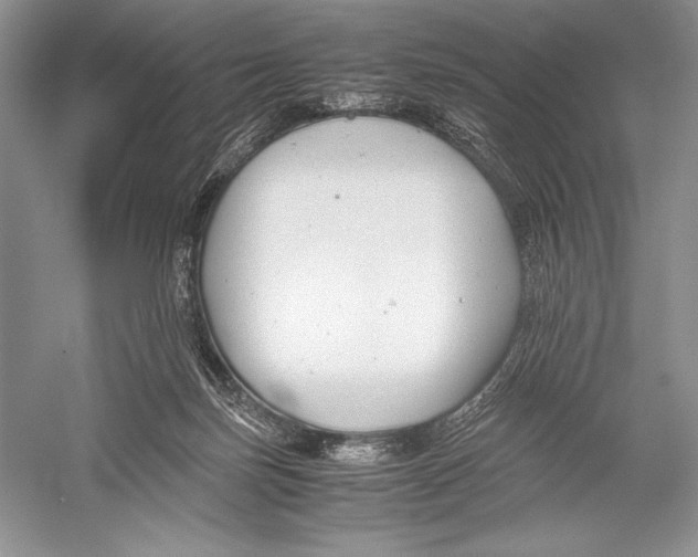 X0000052920171200508050813