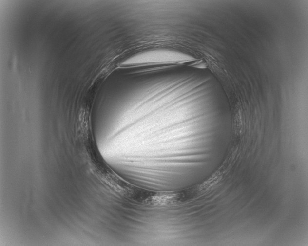 X0000052920172200508050813