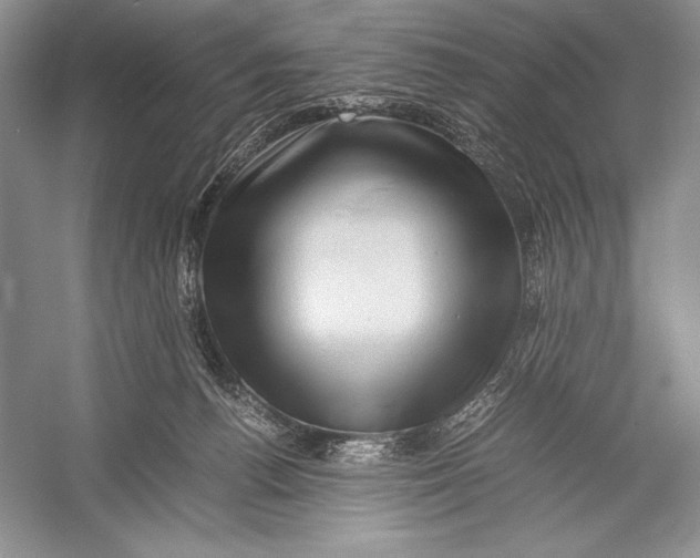 X0000052920176200508050813