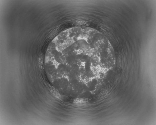 X0000052920177200508050813