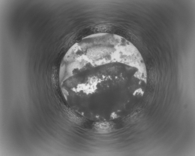 X0000052920181200508050813