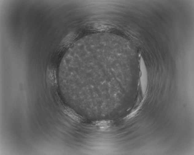 X0000052920182200508050813