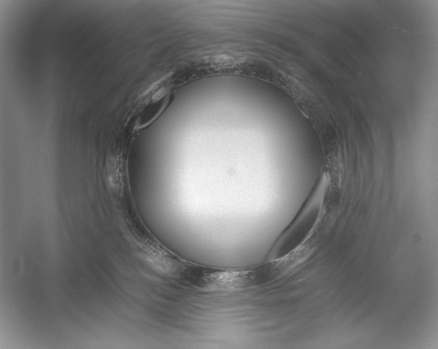 X0000052920184200508050813