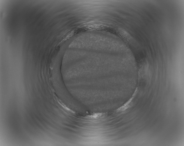 X0000052920186200508050813