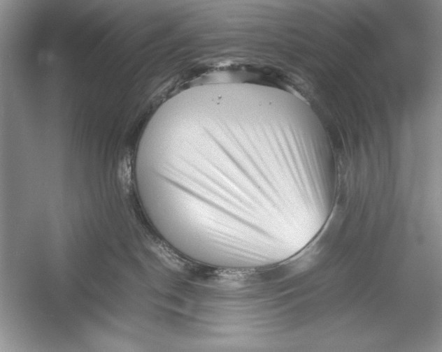 X0000052920190200508050813