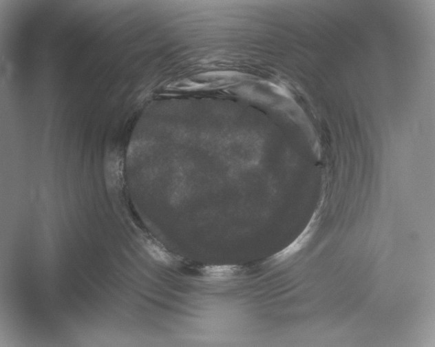 X0000052920192200508050813