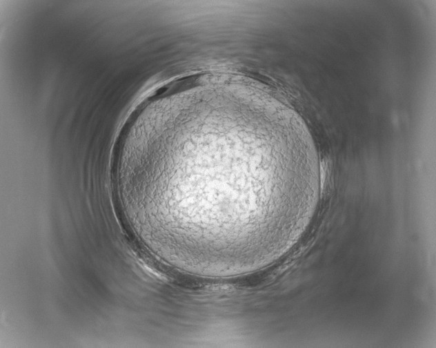 X0000052920195200508050812