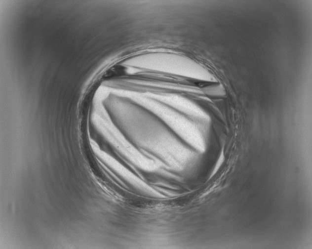 X0000052920197200508050812