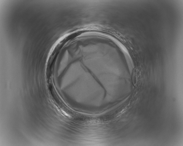 X0000052920200200508050812