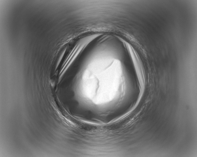 X0000052920201200508050812